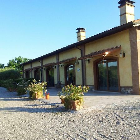 לינה וארוחת בוקר Borghetto  Agriturismo Valle Del Mincio מראה חיצוני תמונה