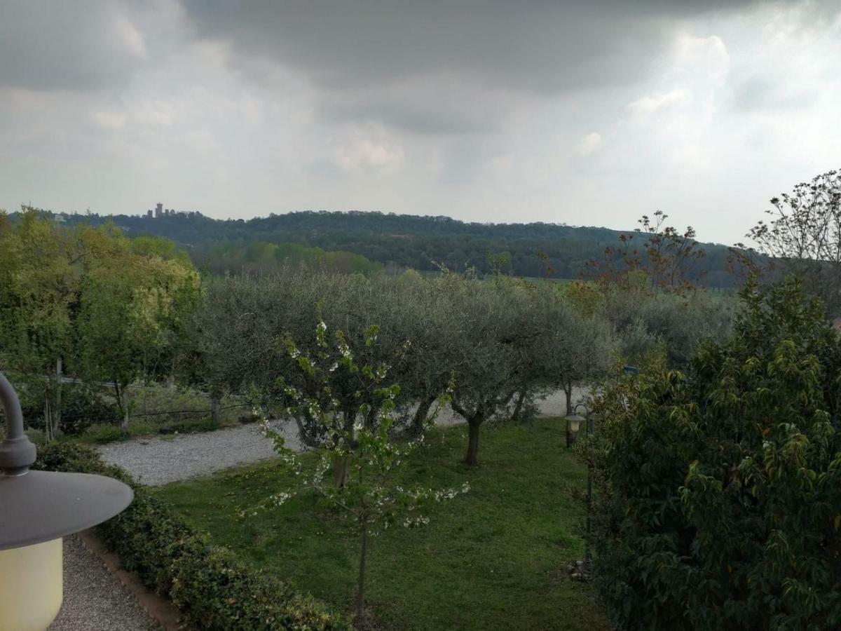 לינה וארוחת בוקר Borghetto  Agriturismo Valle Del Mincio מראה חיצוני תמונה